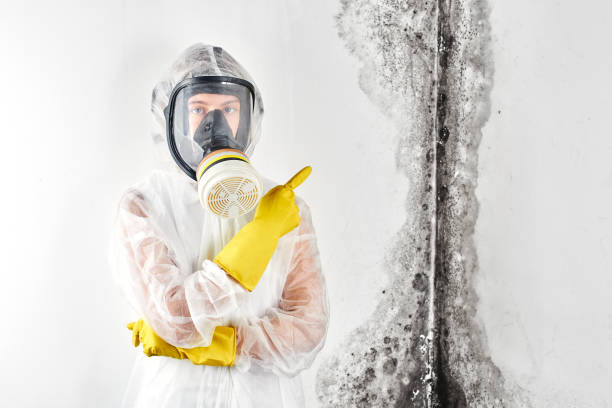 Best Emergency Mold Remediation  in Prunedale, CA